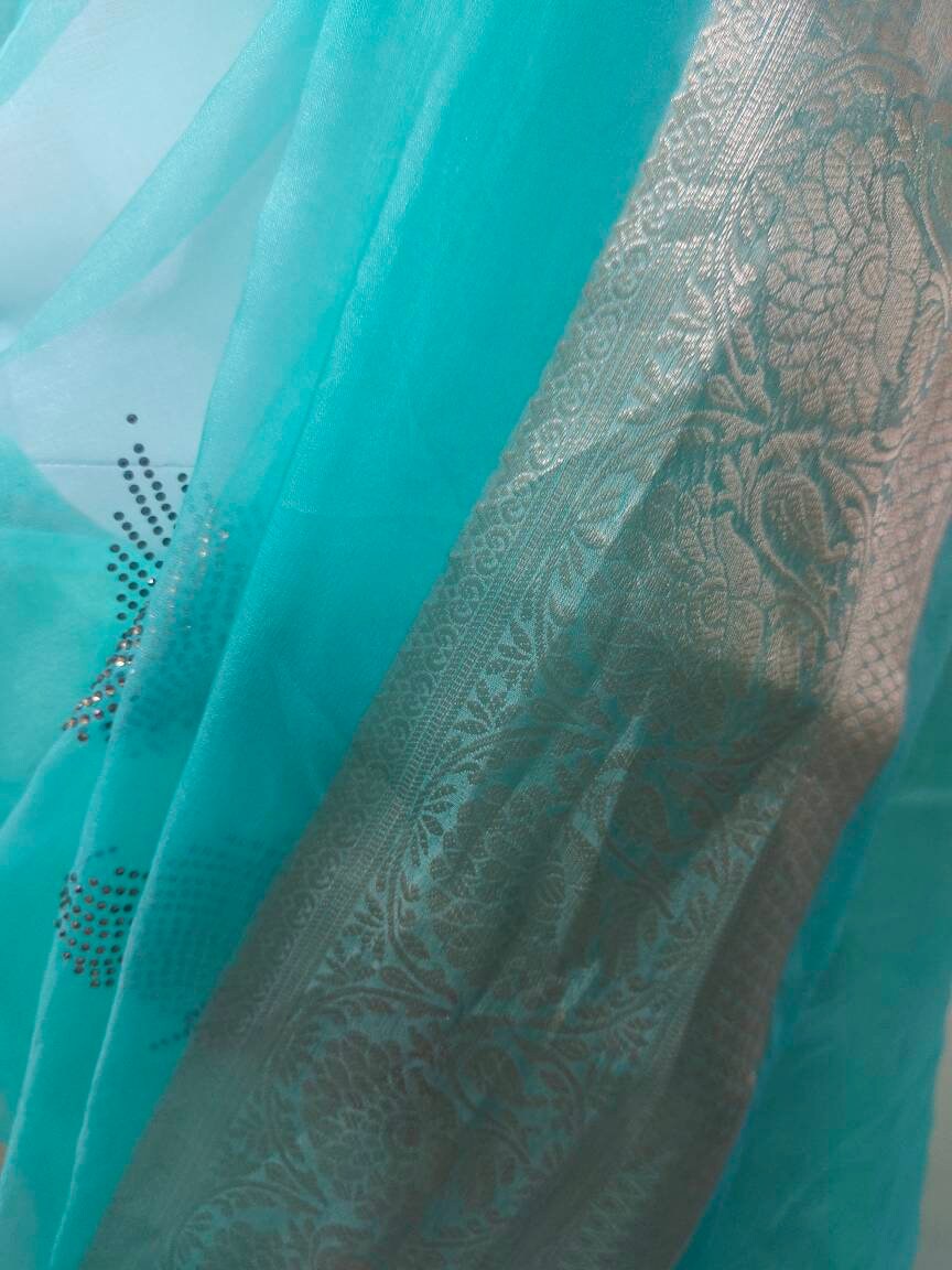 Sea green organza saree banarasi golden border golden sequence work satin blouse satin petticoat Bollywood festival designer Ethnic