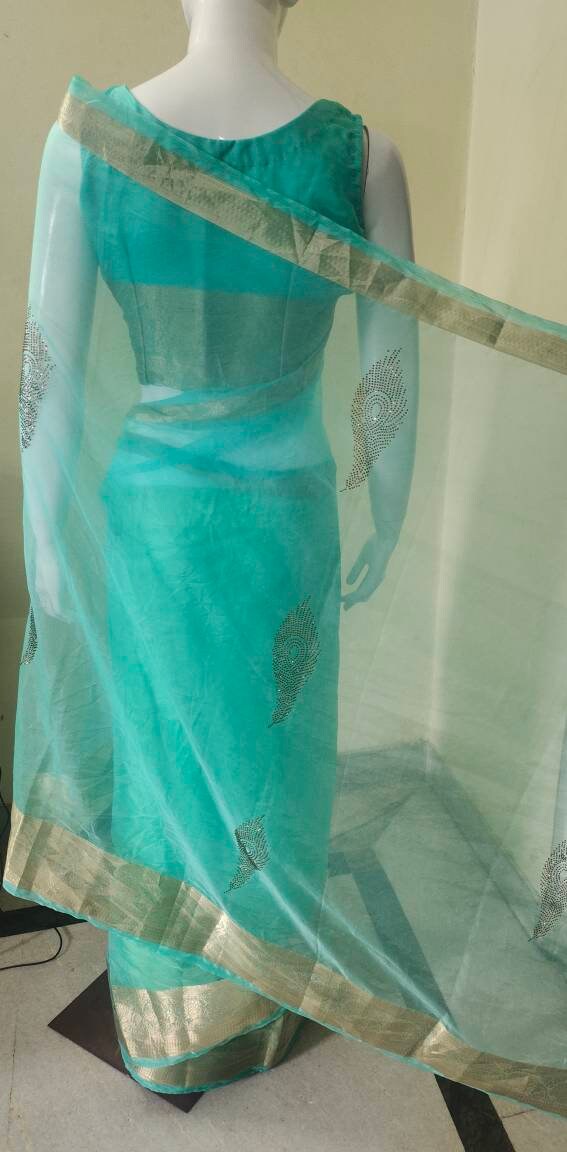 Sea green organza saree banarasi golden border golden sequence work satin blouse satin petticoat Bollywood festival designer Ethnic